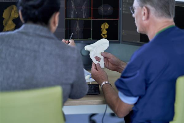 模型制作-結(jié)構(gòu)驗證